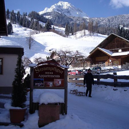 Strampflgut Apartment Dorfgastein Exterior photo